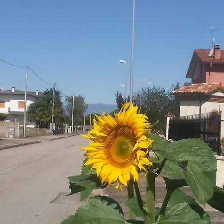 Casa Ortensia * Grions