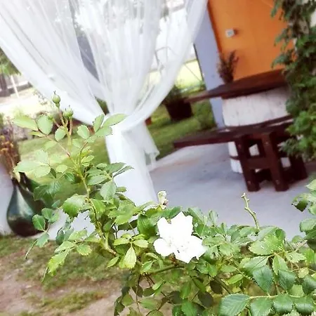 Casa Ortensia Dom wakacyjny *