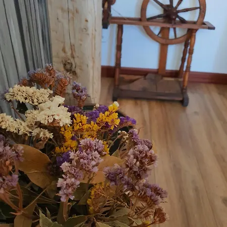 Casa Ortensia Holiday home