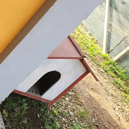 Dom wakacyjny Casa Ortensia Grions