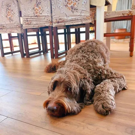 Casa Ortensia Dom wakacyjny *