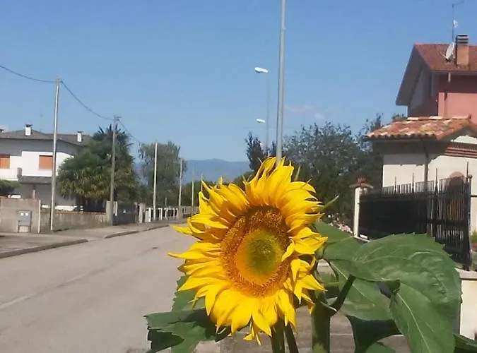 Casa Ortensia * Grions