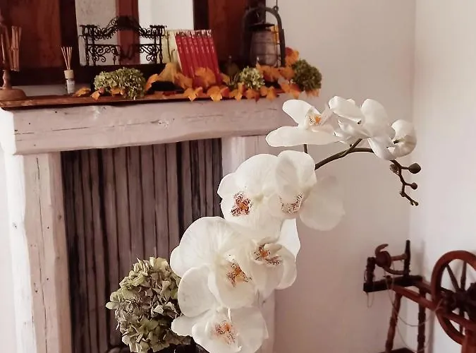 Σπίτι διακοπών Casa Ortensia *