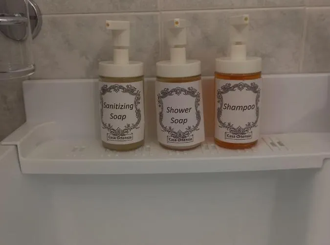 Casa Ortensia Grions