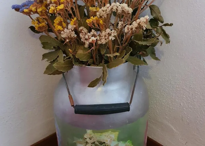 Casa Ortensia Σπίτι διακοπών Grions