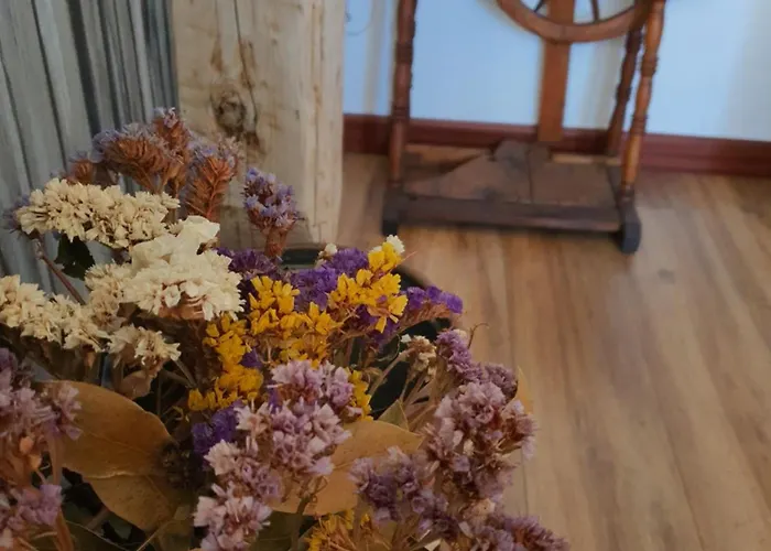 Casa Ortensia Σπίτι διακοπών