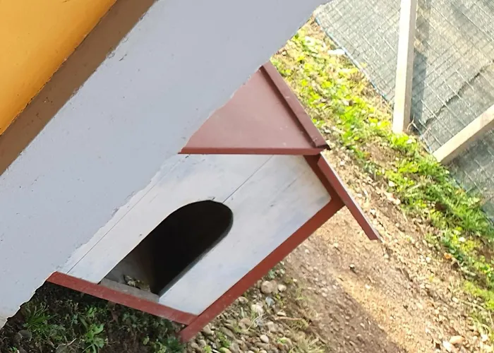 Σπίτι διακοπών Casa Ortensia Grions