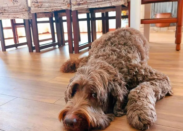 Casa Ortensia Σπίτι διακοπών *